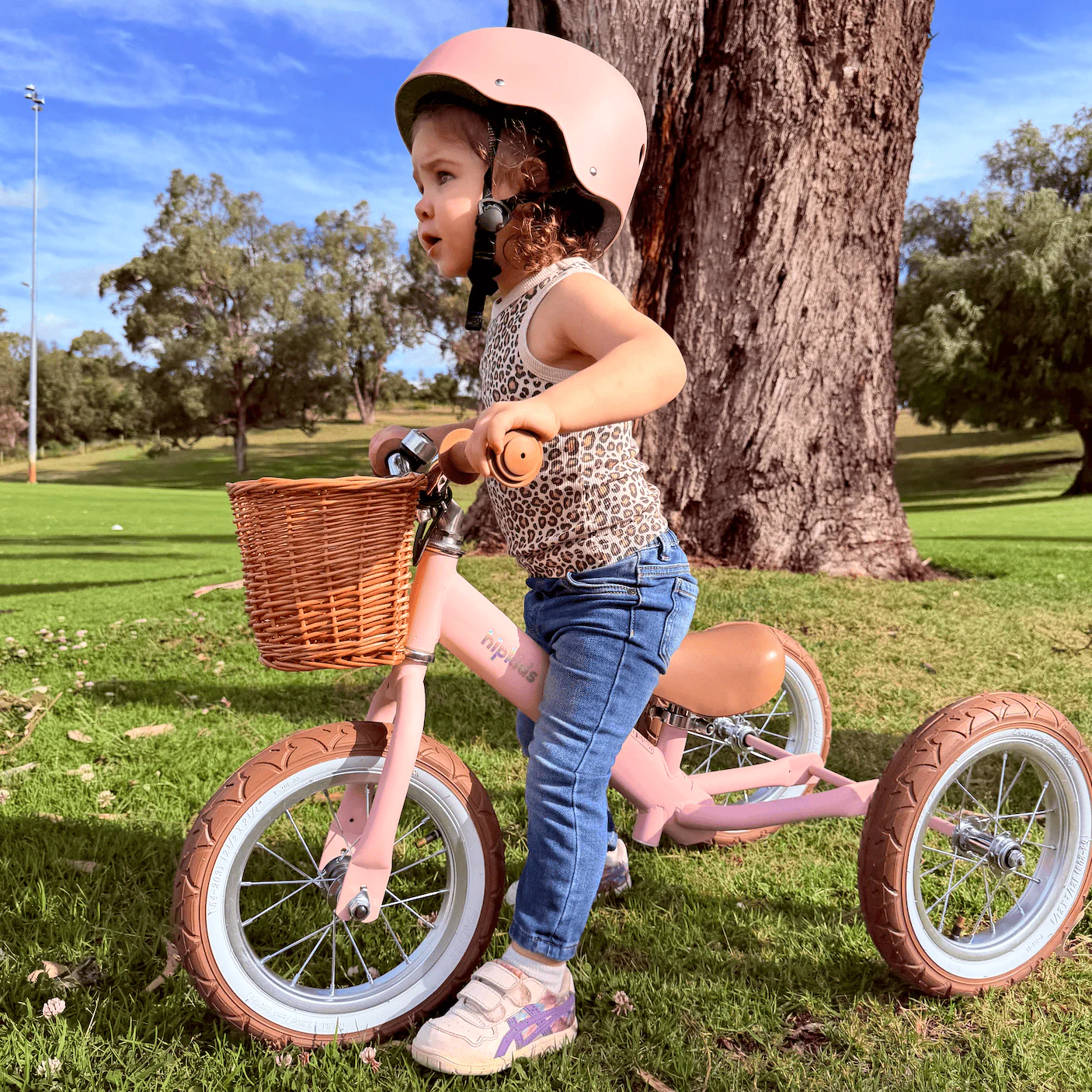 2 in 1 Steel Trike/Balance Bike (incl. wicker basket) - Image 4