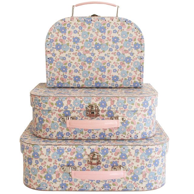 Alimrose Carry Case Set 3pcs - Image 5