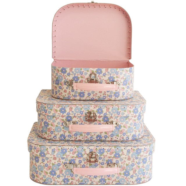 Alimrose Carry Case Set 3pcs - Image 7