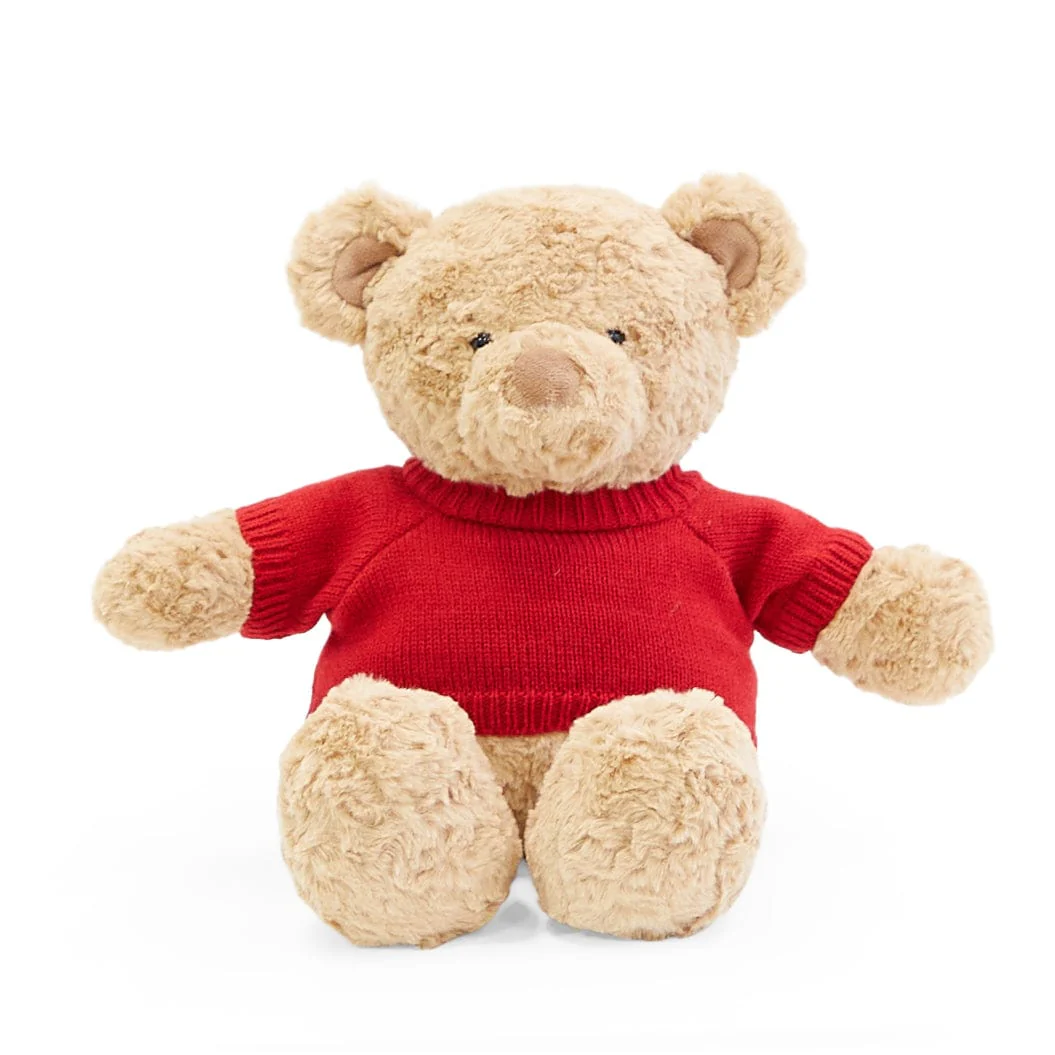 Biscuit the Bear with Sweater