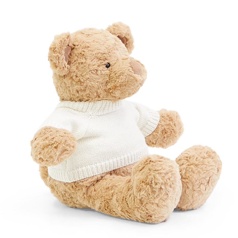 Biscuit the Bear with Sweater - Image 11