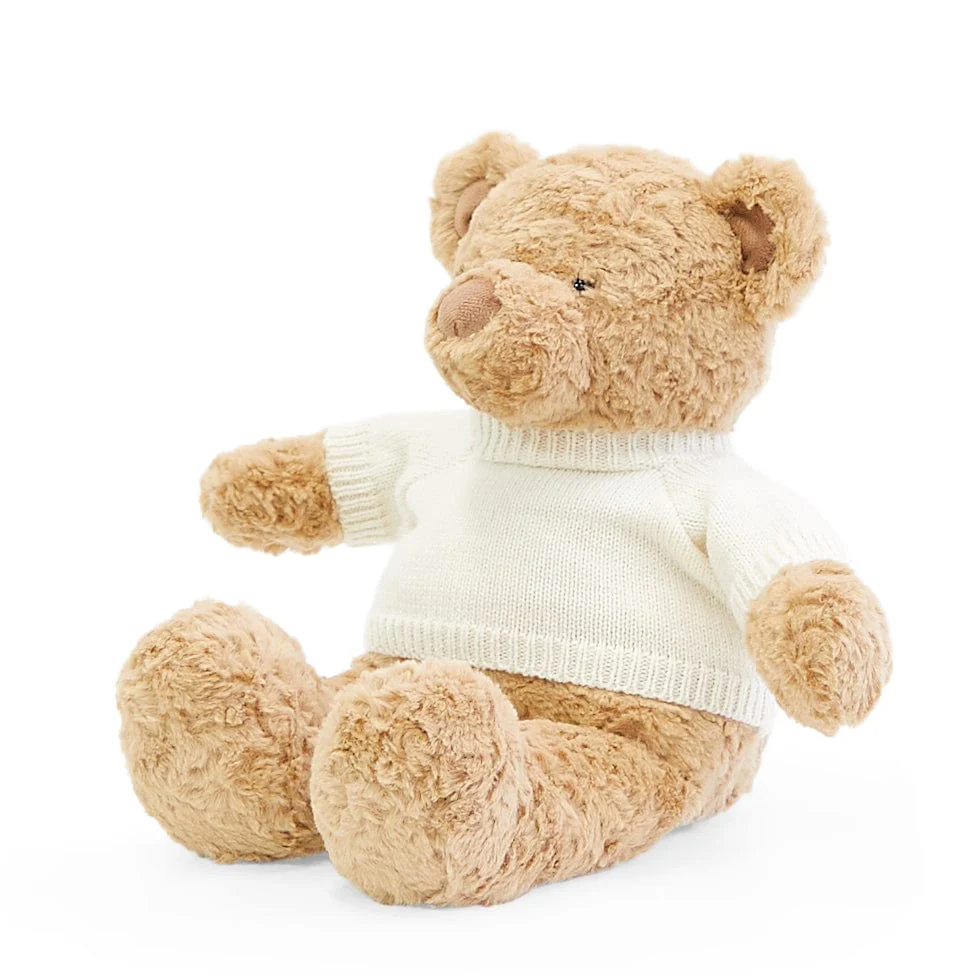 Biscuit the Bear with Sweater - Image 12