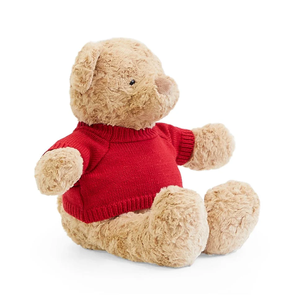 Biscuit the Bear with Sweater - Image 14