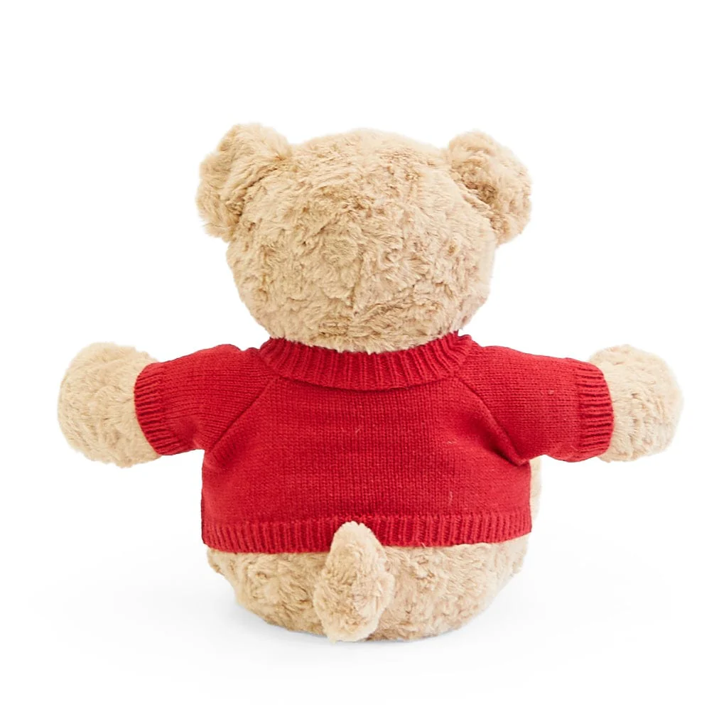 Biscuit the Bear with Sweater - Image 16