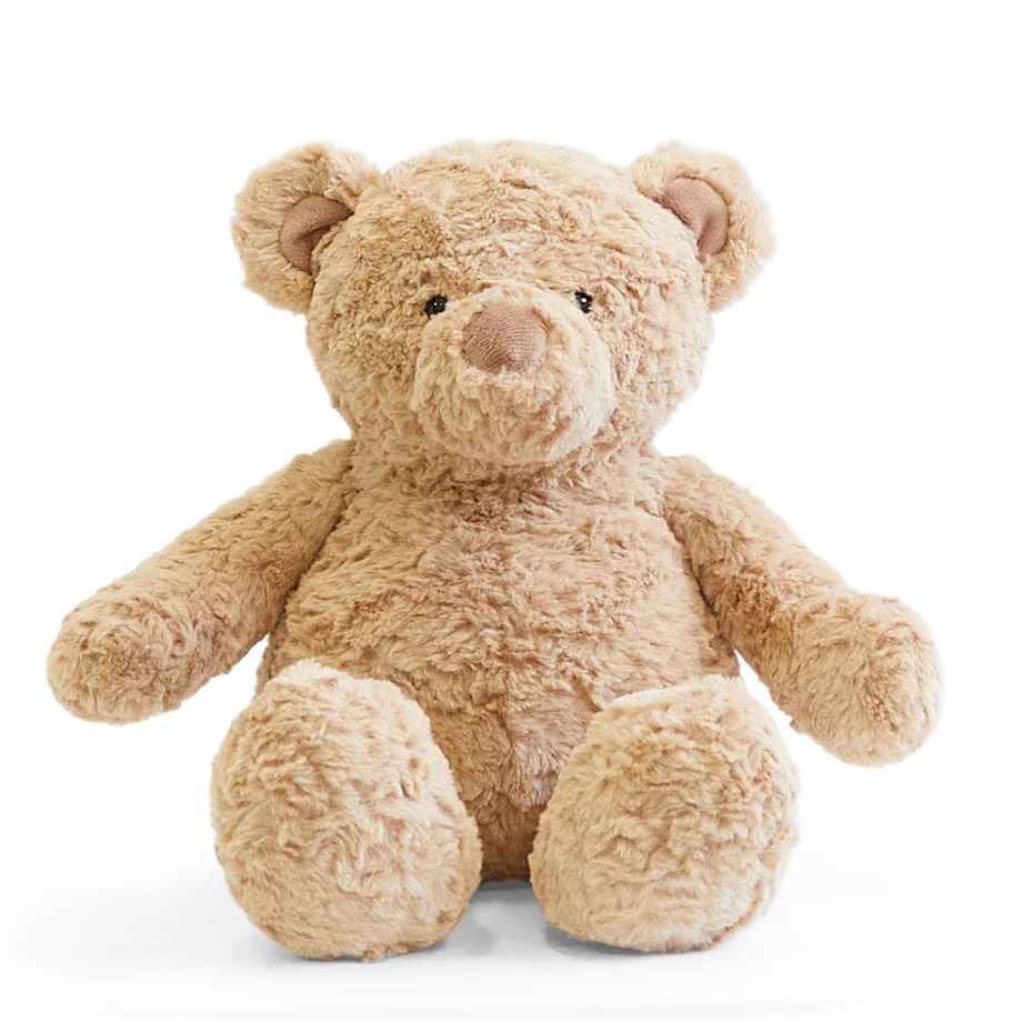 Biscuit the Bear with Sweater - Image 17