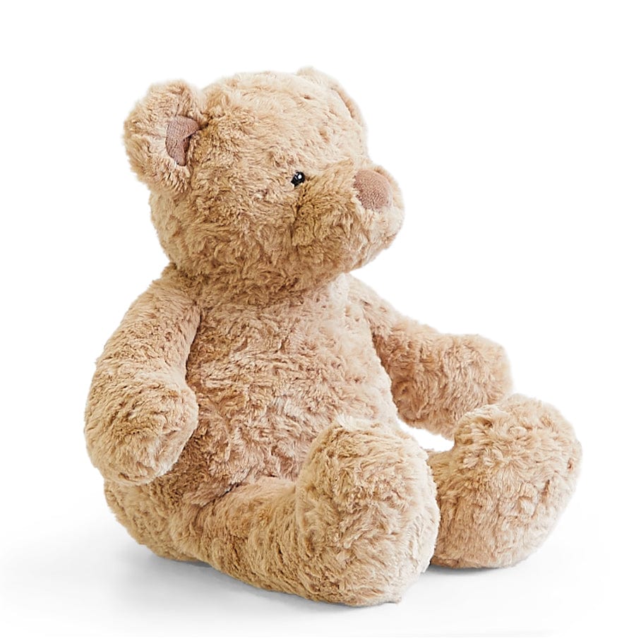 Biscuit the Bear with Sweater - Image 18