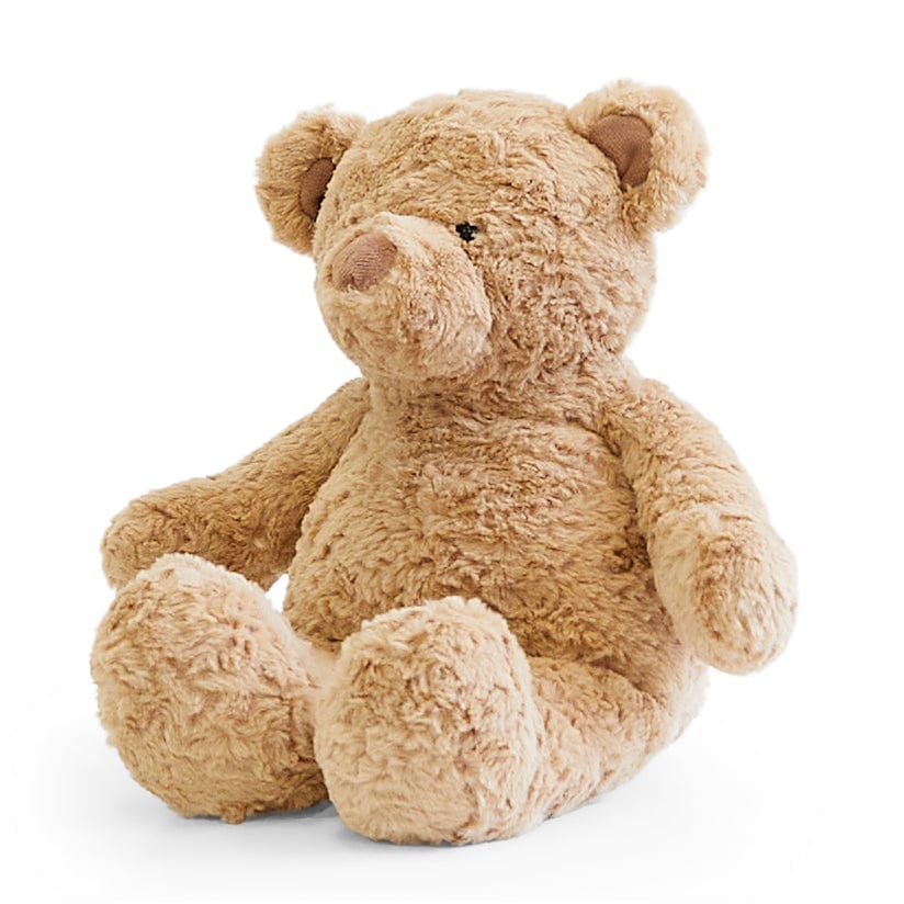 Biscuit the Bear with Sweater - Image 19