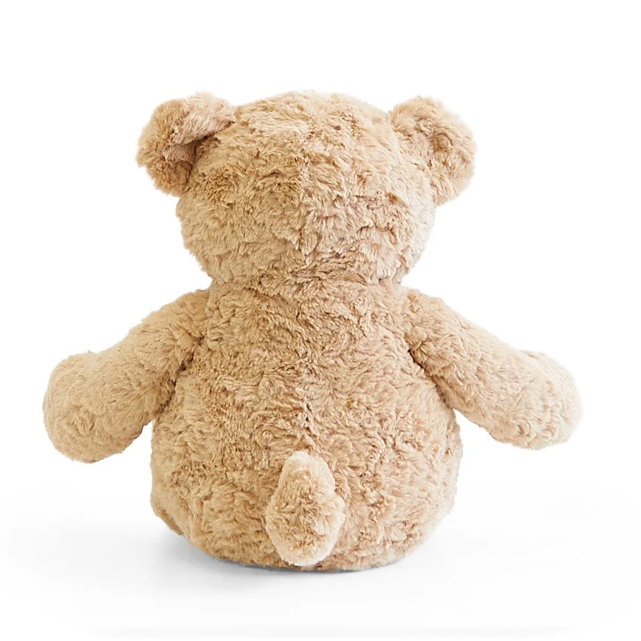 Biscuit the Bear with Sweater - Image 20