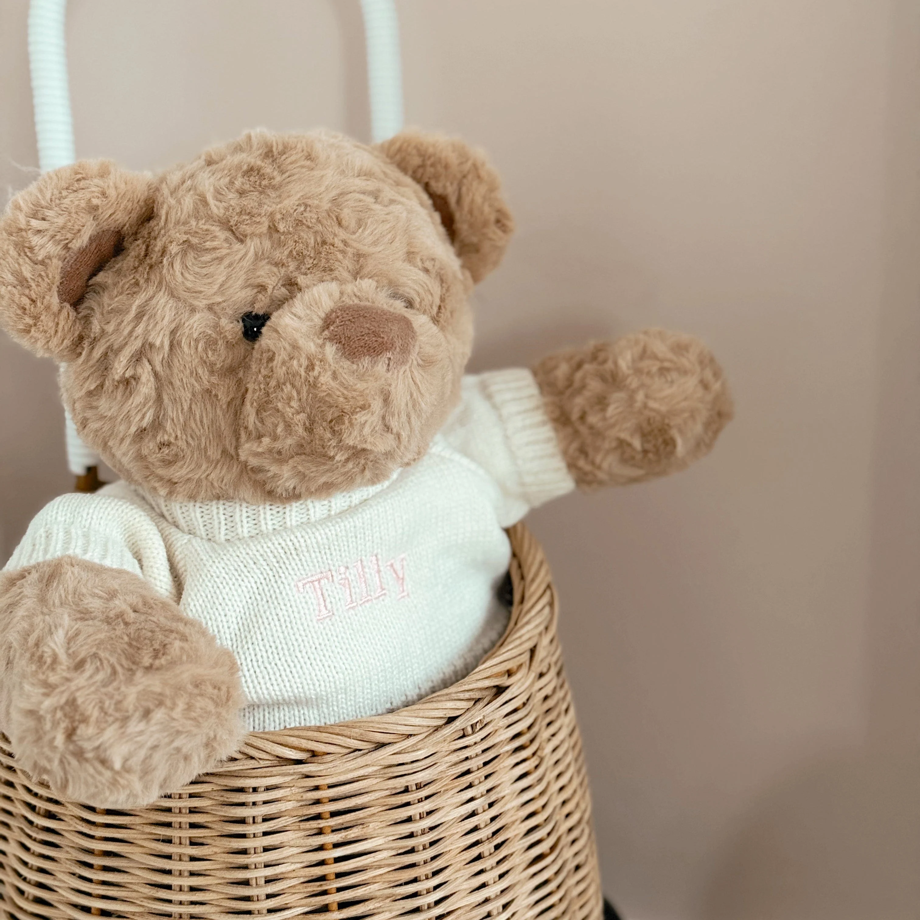 Biscuit the Bear with Sweater - Image 21