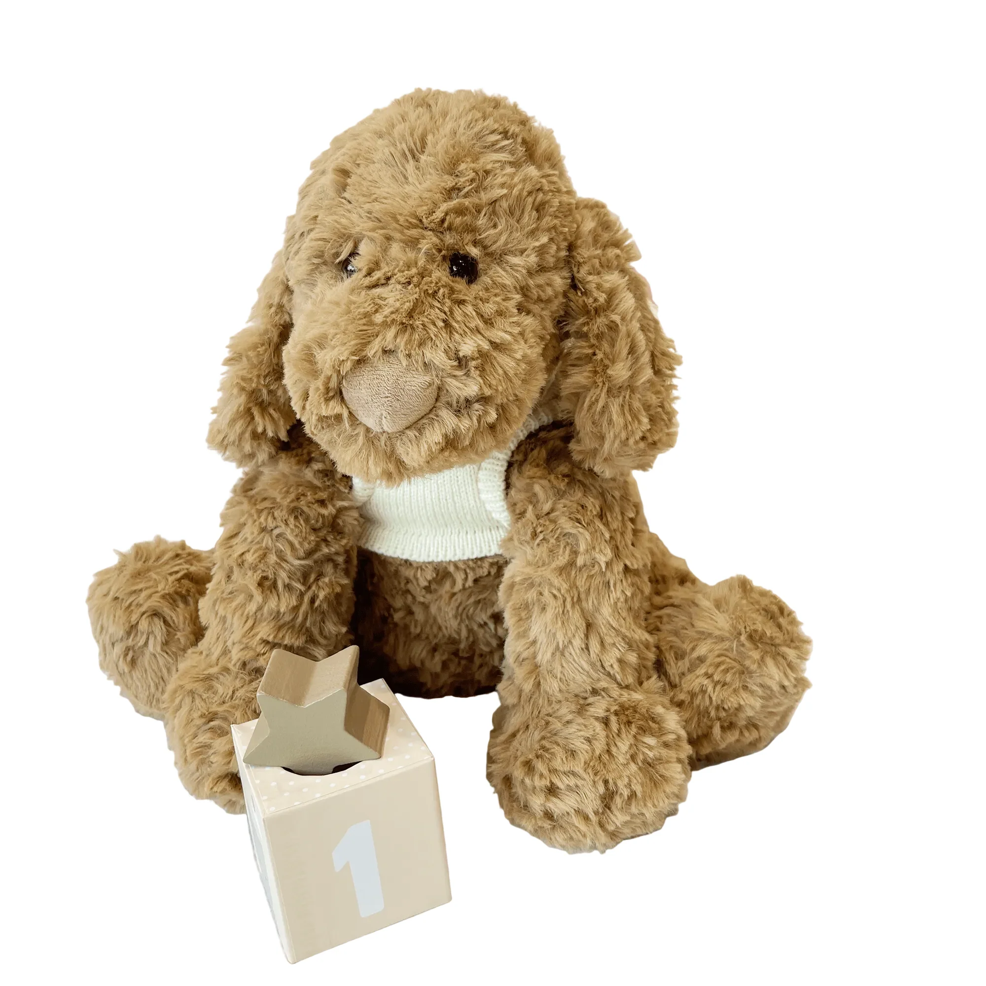 Cookie the Cavoodle - Preorder