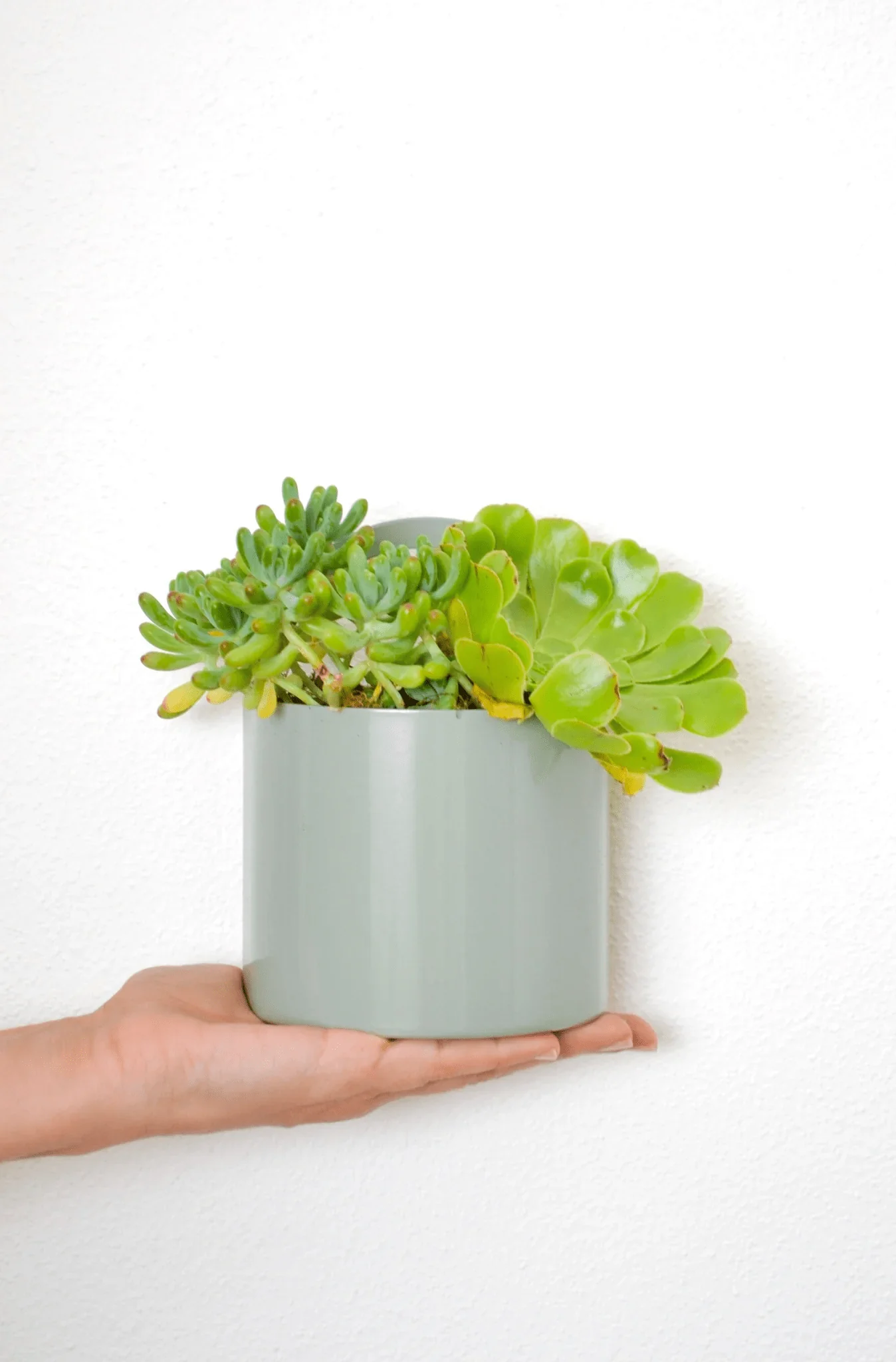 Growme Melbourne Archie Desk Caddy - Image 26