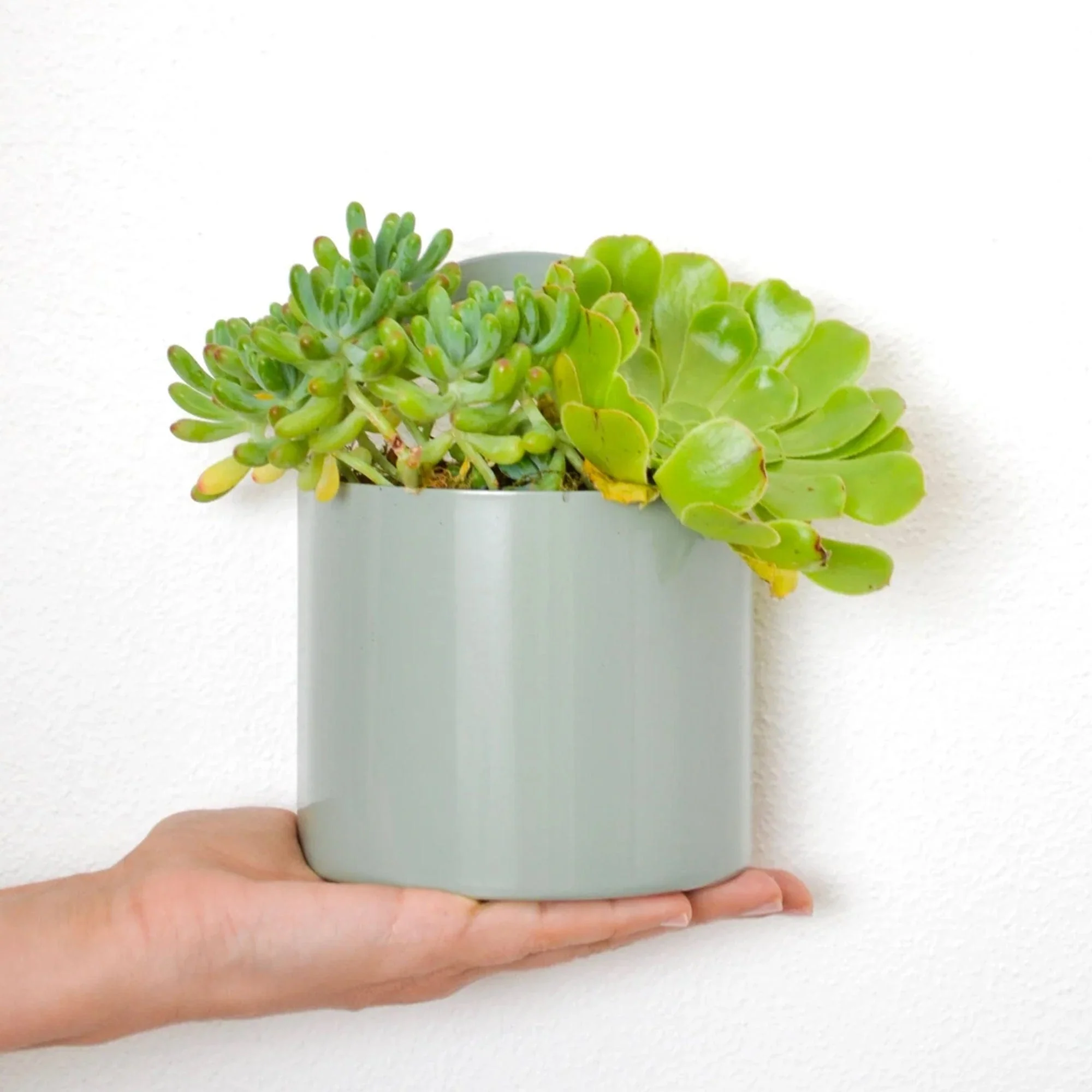Growme Melbourne Archie Desk Caddy - Image 5