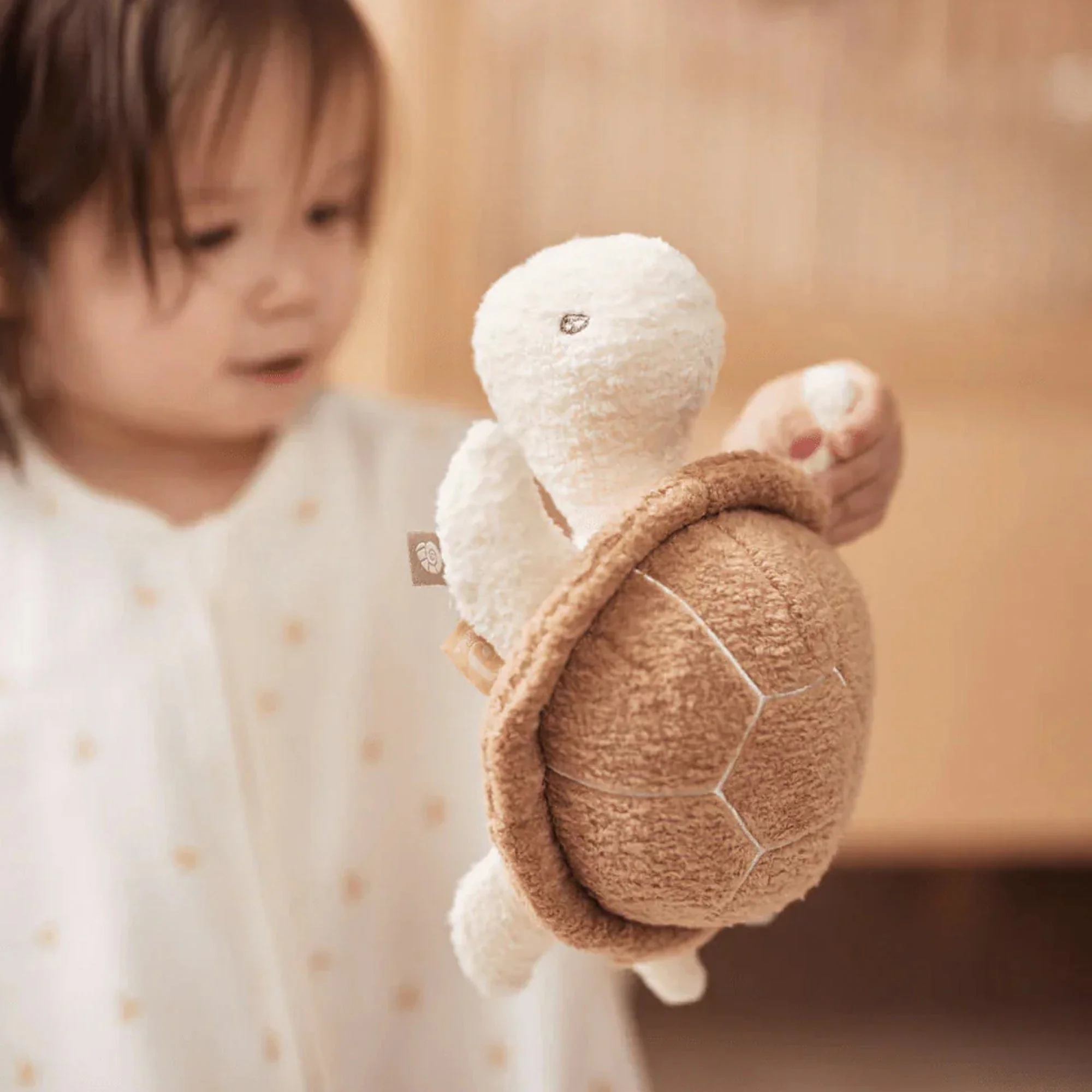Jollein Sensory Toy Turtle - Preorder - Image 2