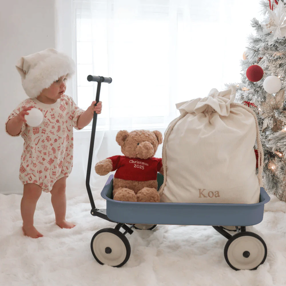 Kids Steel Toy Wagon - Image 11