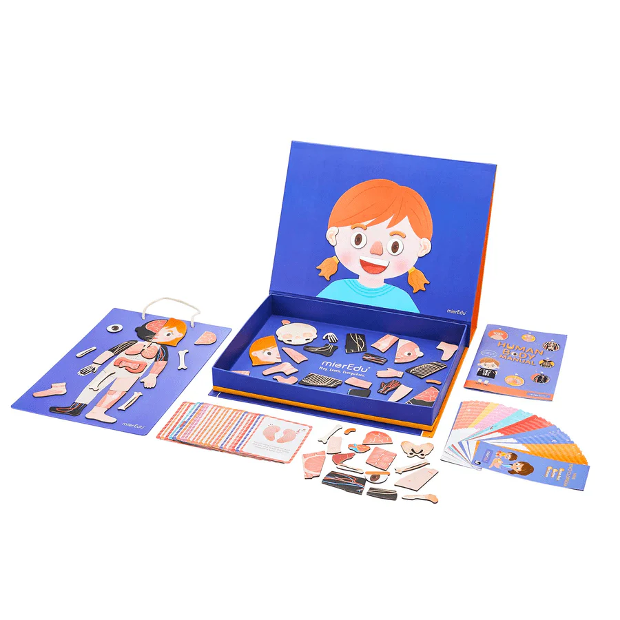Mieredu Magnetic Kit - My Body + Emotion - Image 2