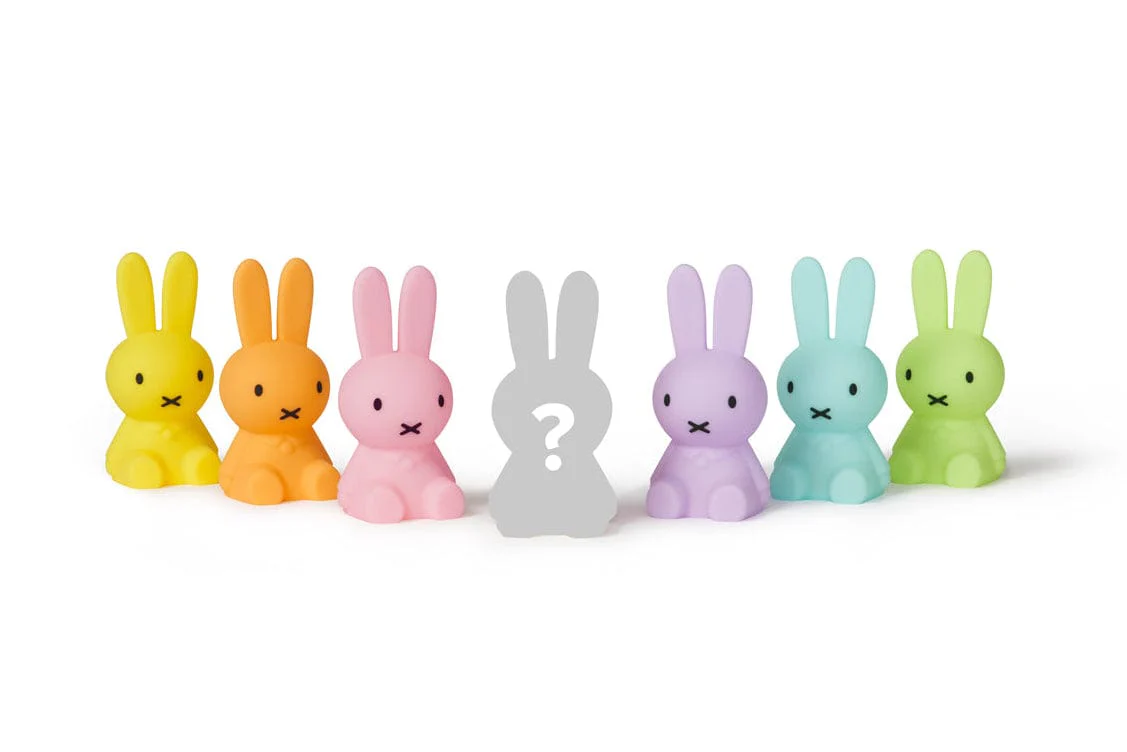 Mr Maria Miffy Colourful Surprise Collection