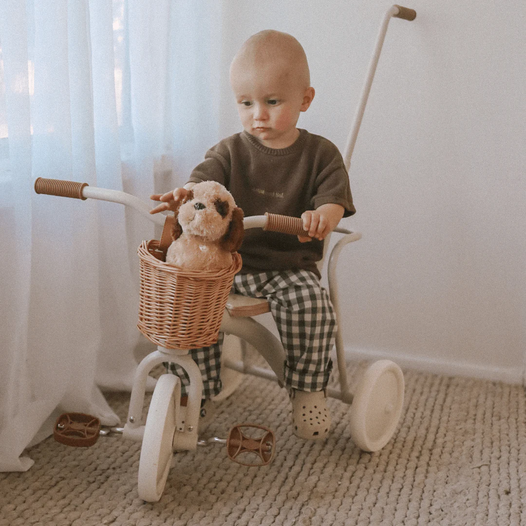 My First Pedal Trike with Parent Push Handle and Wicker Basket - Preorder - Image 12