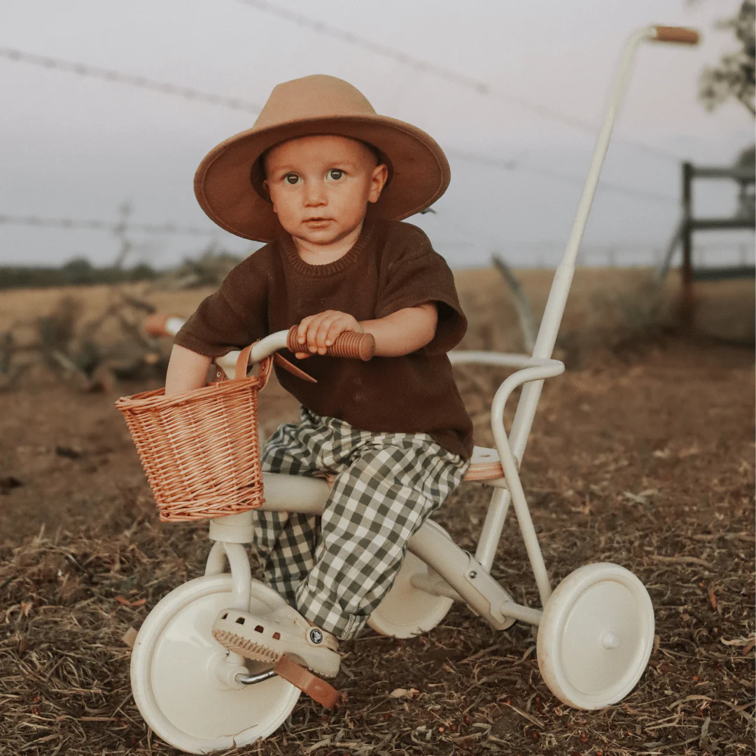 My First Pedal Trike with Parent Push Handle and Wicker Basket - Preorder - Image 4