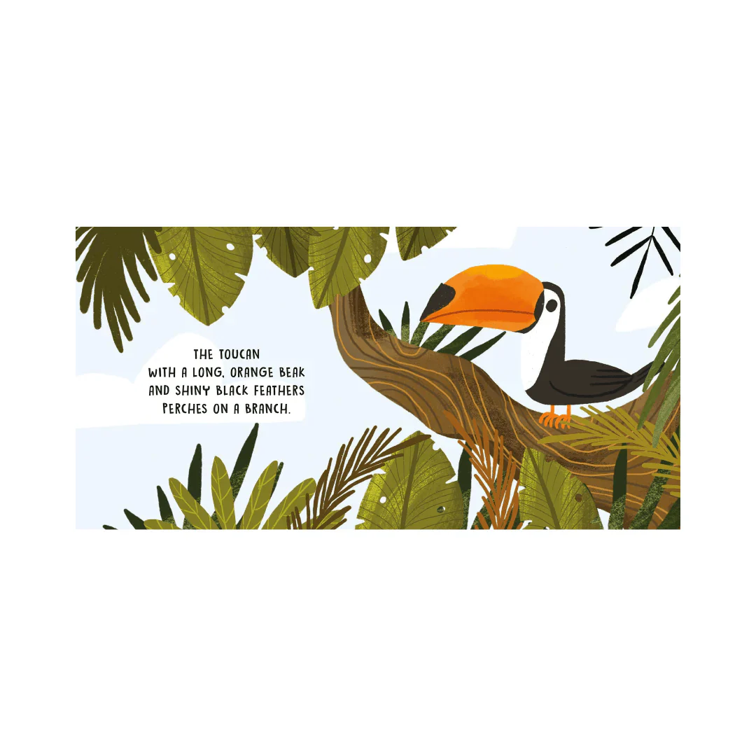 Sassi Board Book Sweet Sounds Stories - The Jungle - Image 2