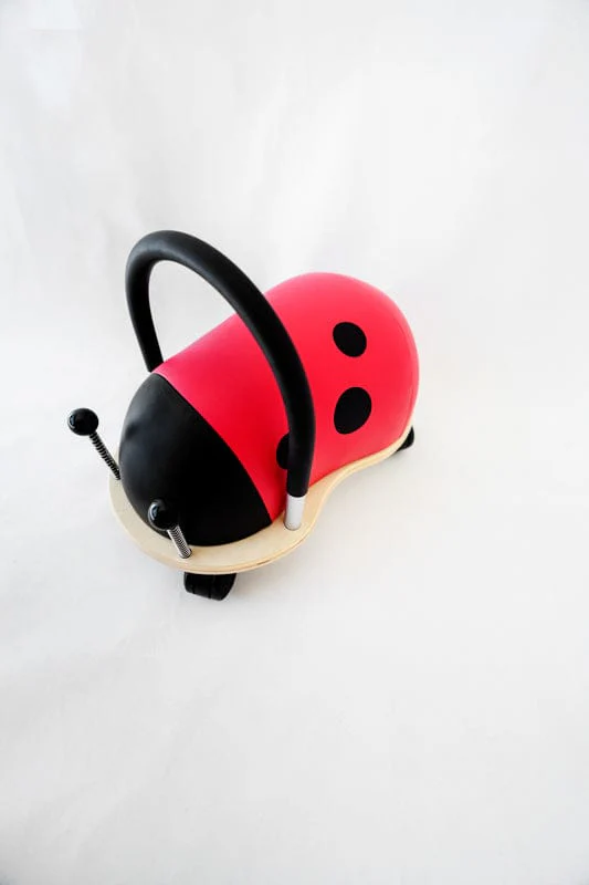Small Ladybug Wheely Bug - Image 8