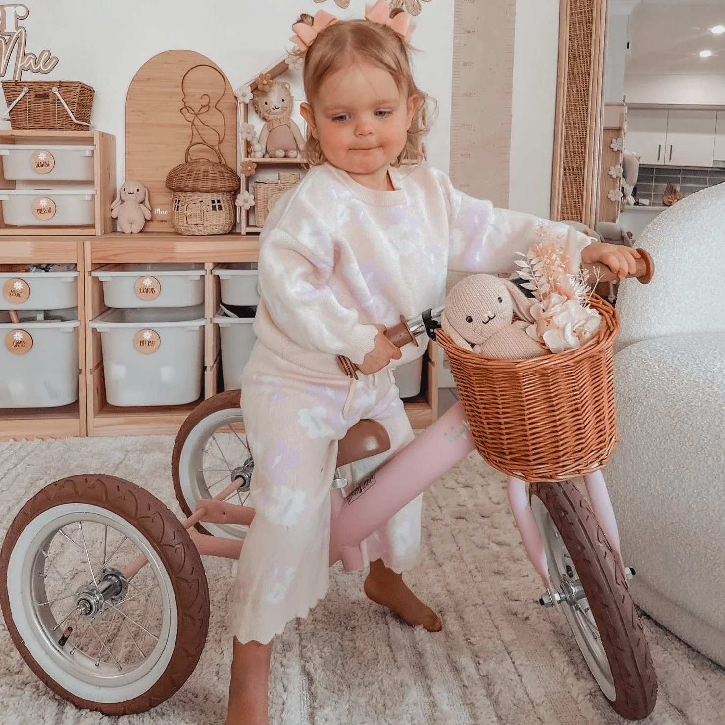 Steel 2 in 1 Trike with Carry Strap Bundle - Image 22