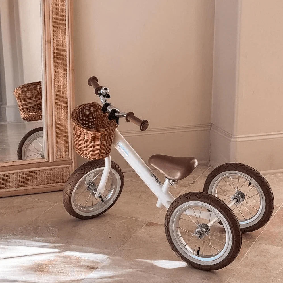 Steel 2 in 1 Trike with Carry Strap Bundle - Image 24