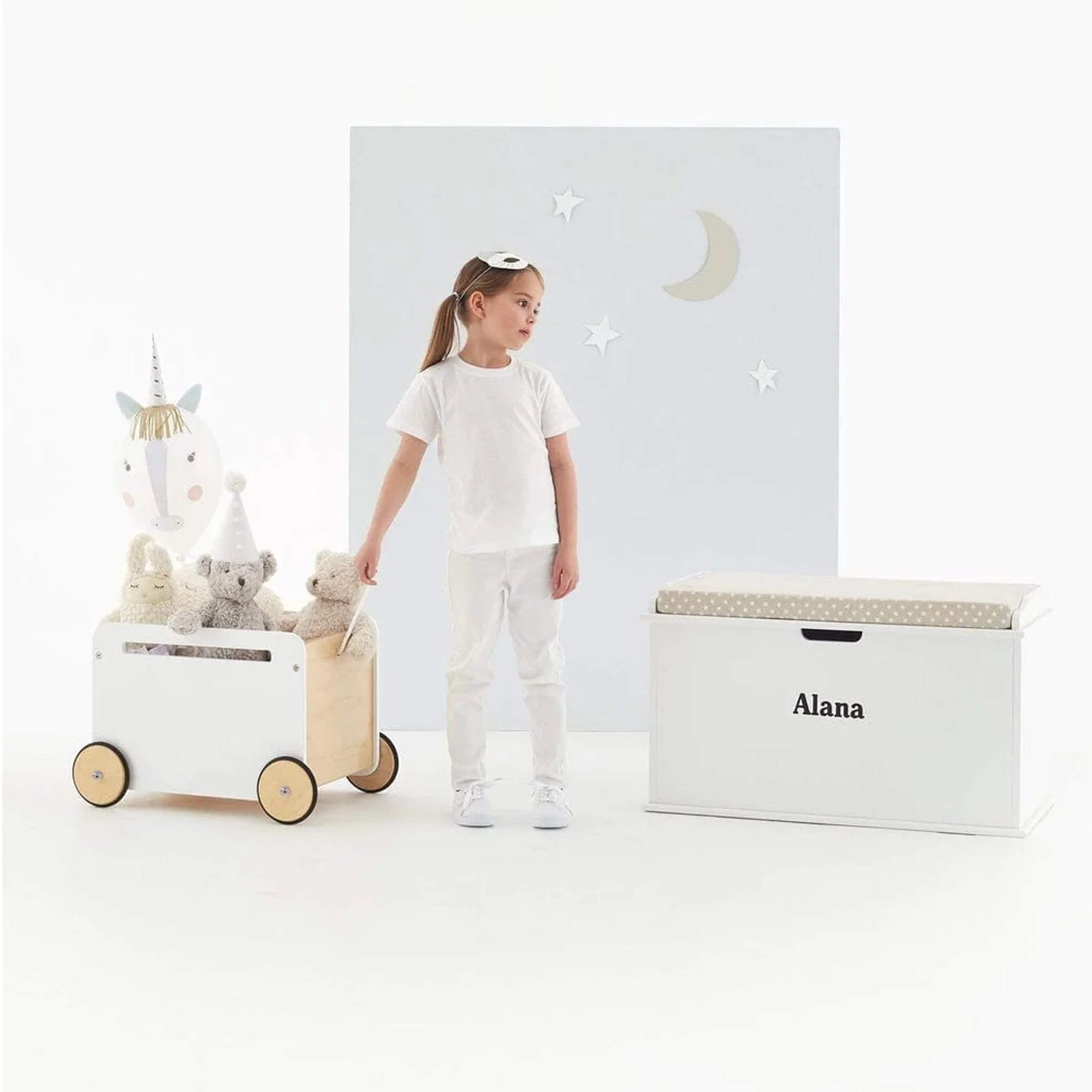 Toni Toy Box on Wheels - Image 5