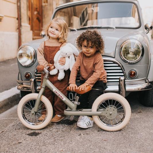Vintage Trybike - Image 22