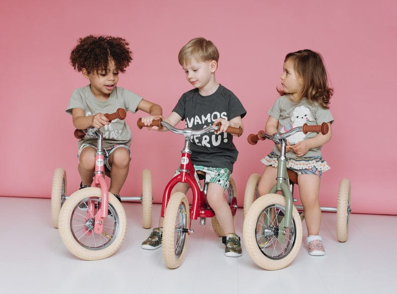 Vintage Trybike - Image 31